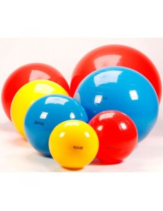 Balones Gymnic