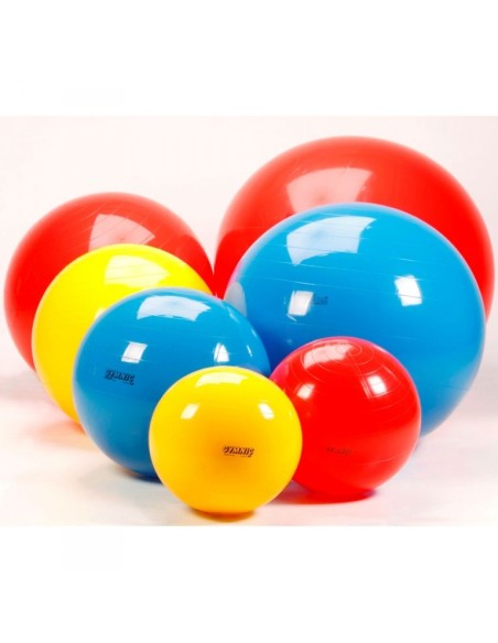 Balones Gymnic