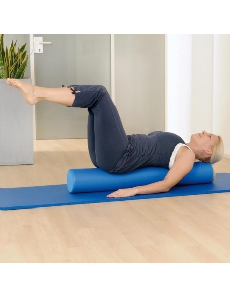 sissel pilates roller pro 2